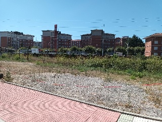 Luz La 11
