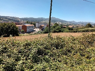 Luz La 13