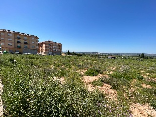 Metge Chuan Cervera 3