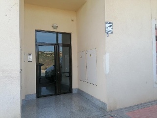 Constitucion 2