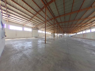 Pisos banco Oliva