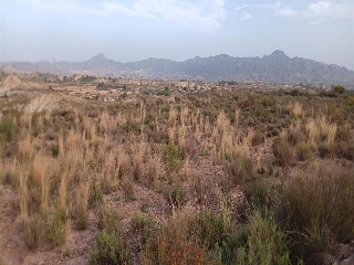 Abanilla 2