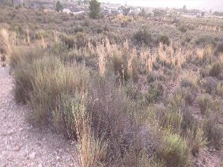 Abanilla 3
