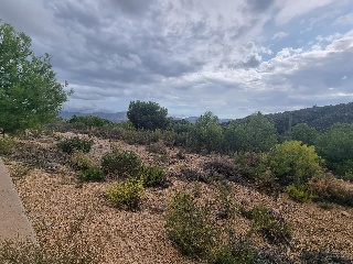 El Pinar De 3