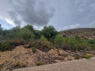 El Pinar De 8