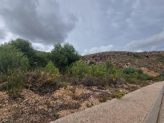 El Pinar De 9