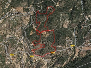 Foya Del Cac 2