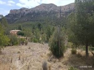 Foya Del Cac 6