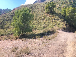 Lorca 2