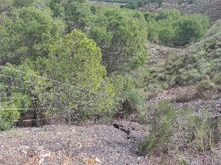 Lorca 6