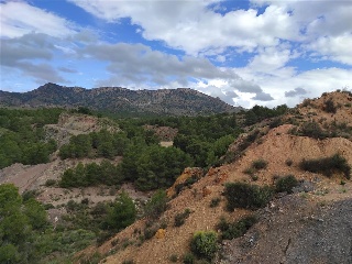 Lorca 8