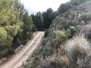 Pisos banco Lorca