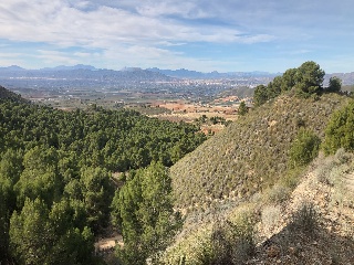 Lorca 2