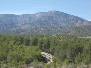 Lorca 3