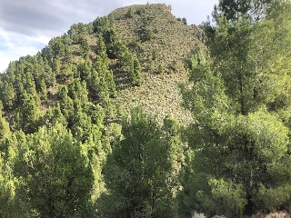 Lorca 7