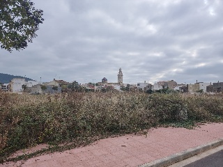 Alio 4
