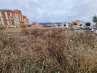 Alio 6