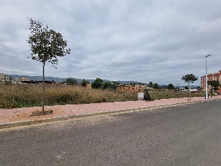 Alio 7