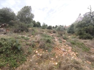 Poligono 63 4