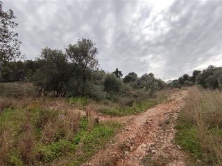 Poligono 63 5