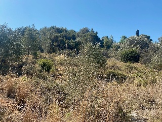 Poligono 63 7