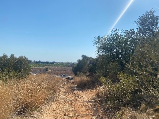 Poligono 63 9