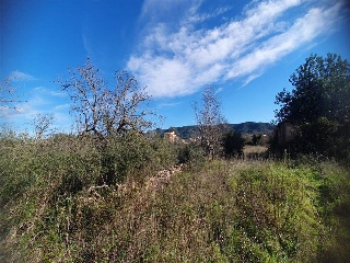 San Mateo 3