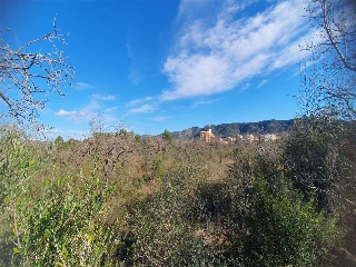 San Mateo 4