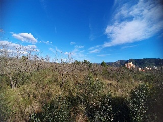 San Mateo 5