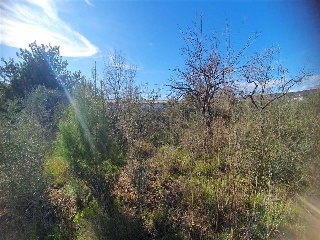 San Mateo 6