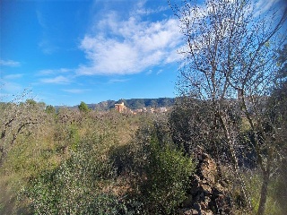 San Mateo 8