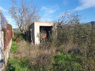 San Mateo 9