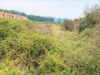 Poligono 44 4