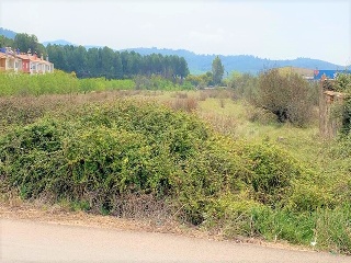 Poligono 44 5