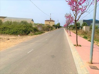Poligono 44 13