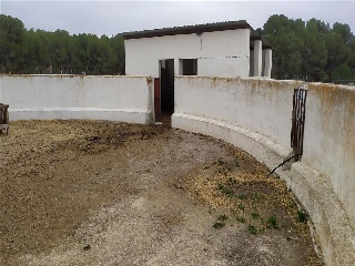 Torre Mata. Caravaca De La Cruz 5