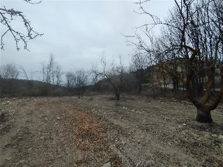 Pisos banco Jumilla