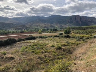Velilla 2