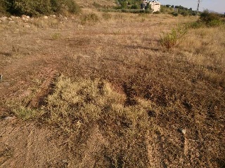 Velilla 6