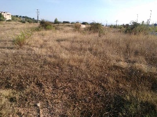 Velilla 9