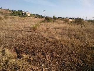 Velilla 10