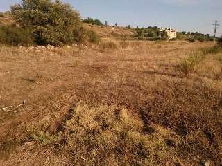 Velilla 11