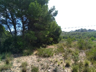 Otros en venta en Oropesa Del Mar/orpesa