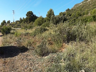 4, Parcela 206  OROPESA 2