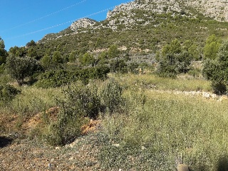 4, Parcela 206  OROPESA 4