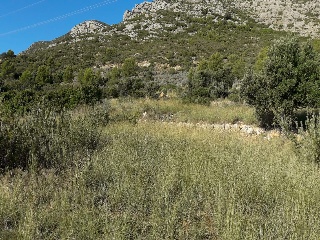 4, Parcela 206  OROPESA 5