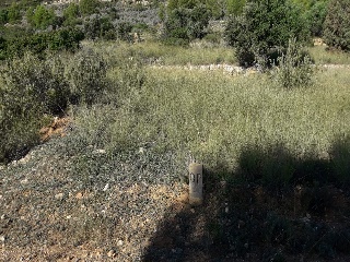 4, Parcela 206  OROPESA 6