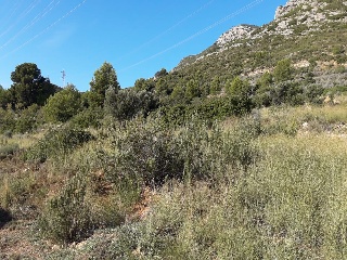 4, Parcela 206  OROPESA 8