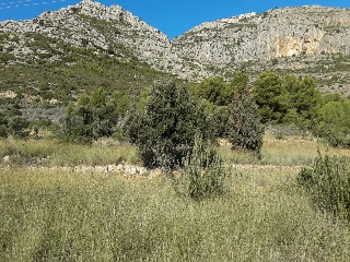 4, Parcela 206  OROPESA 9