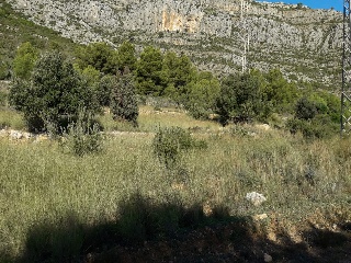 4, Parcela 206  OROPESA 10